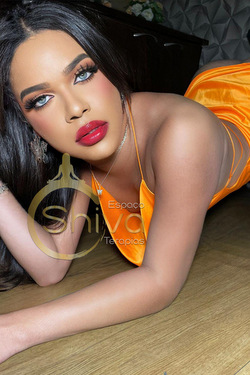 upload/3889/sotrshMA1.jpg
